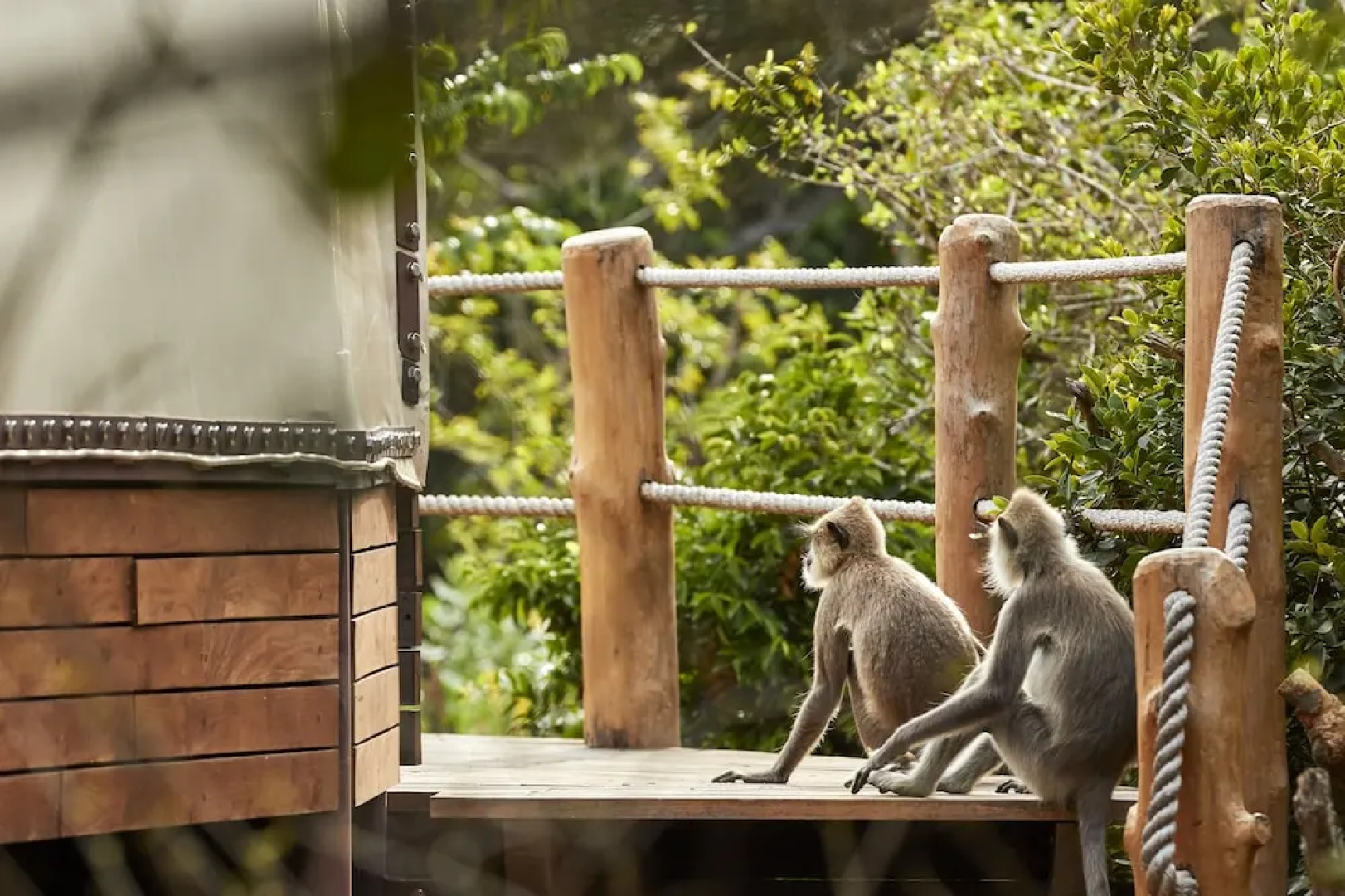 Wild Coast Tented Lodge - Relais and Chateaux - All Inclusive