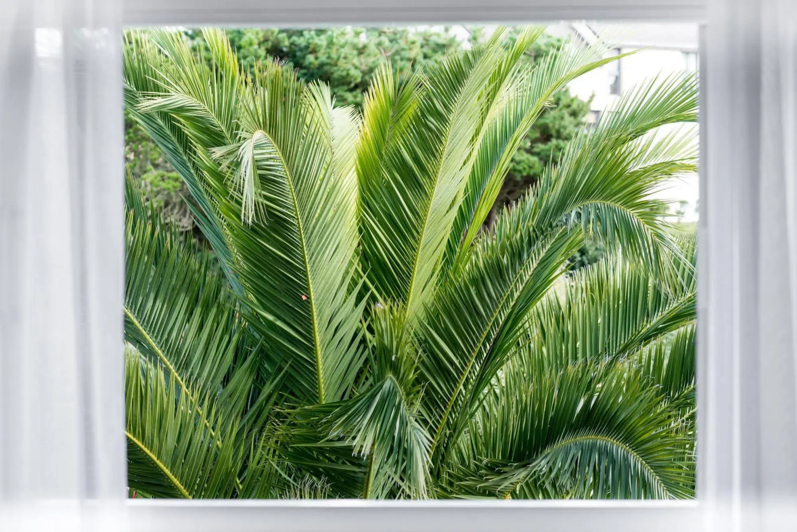 Brit Hotel de l'océan Concarneau