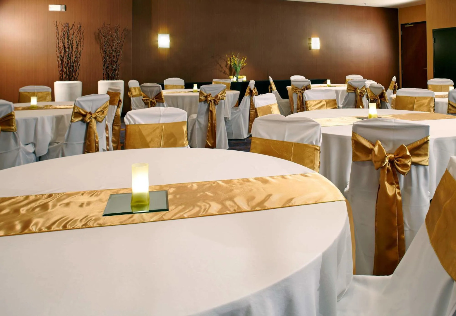 Courtyard by Marriott Tampa Oldsmar