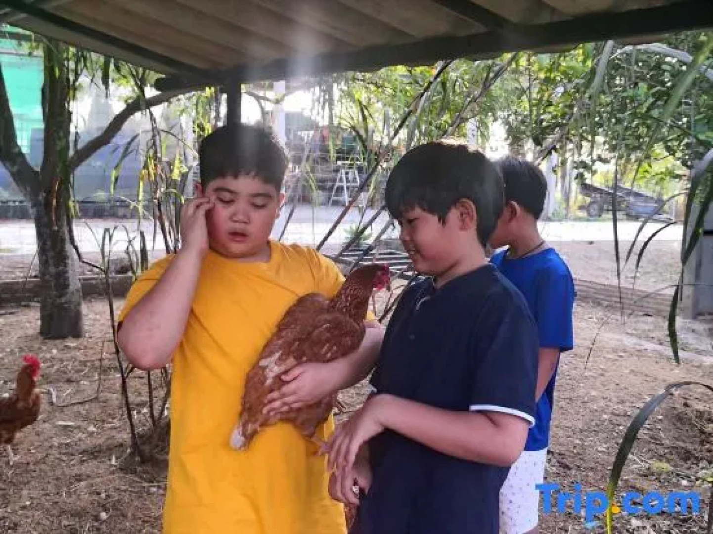 Tantai Eco Farm Stay at Khao Yai