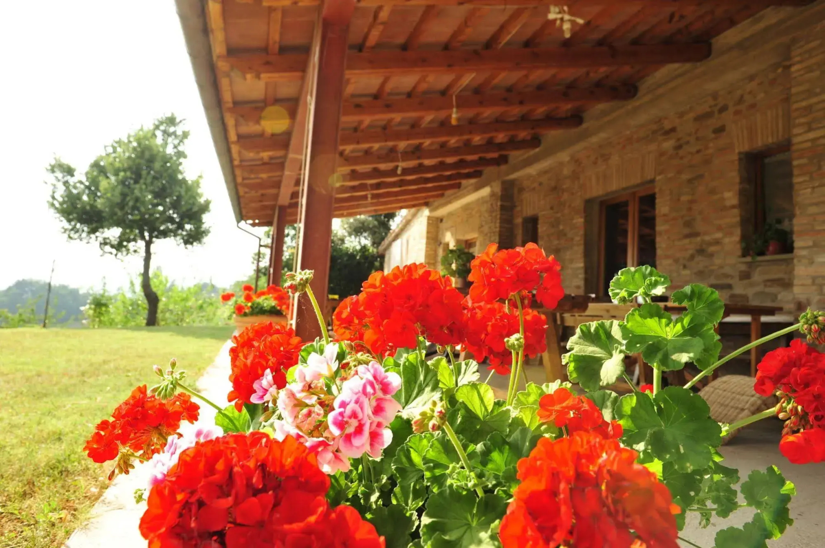 Agriturismo La Caputa