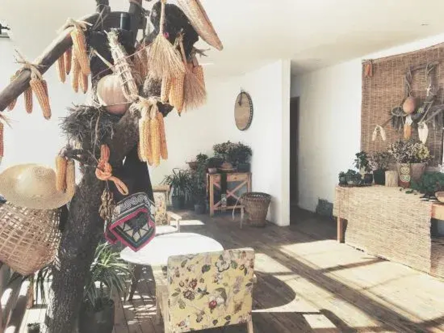 A place to watch the sunrise over the sea of clouds and terraces