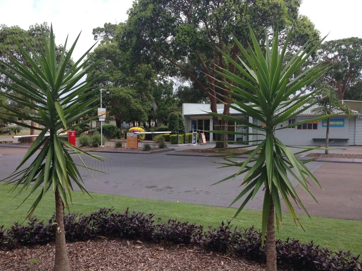 NRMA Canton Beach Holiday Park