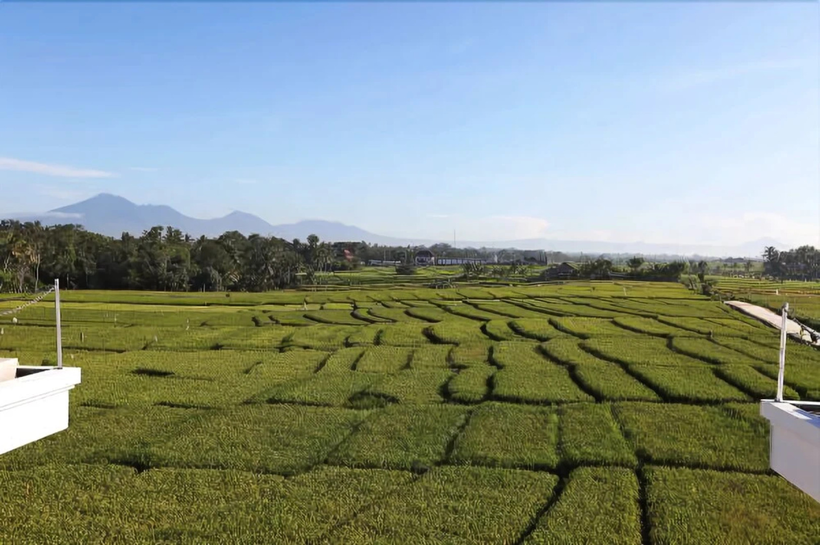 William's Place Bali