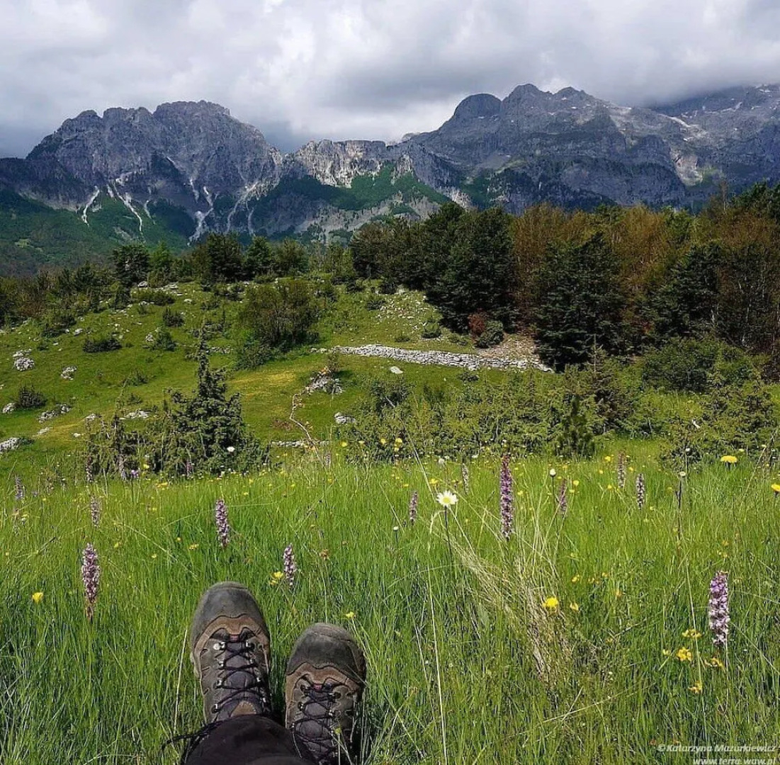 Hotel Restorant Alpet Theth