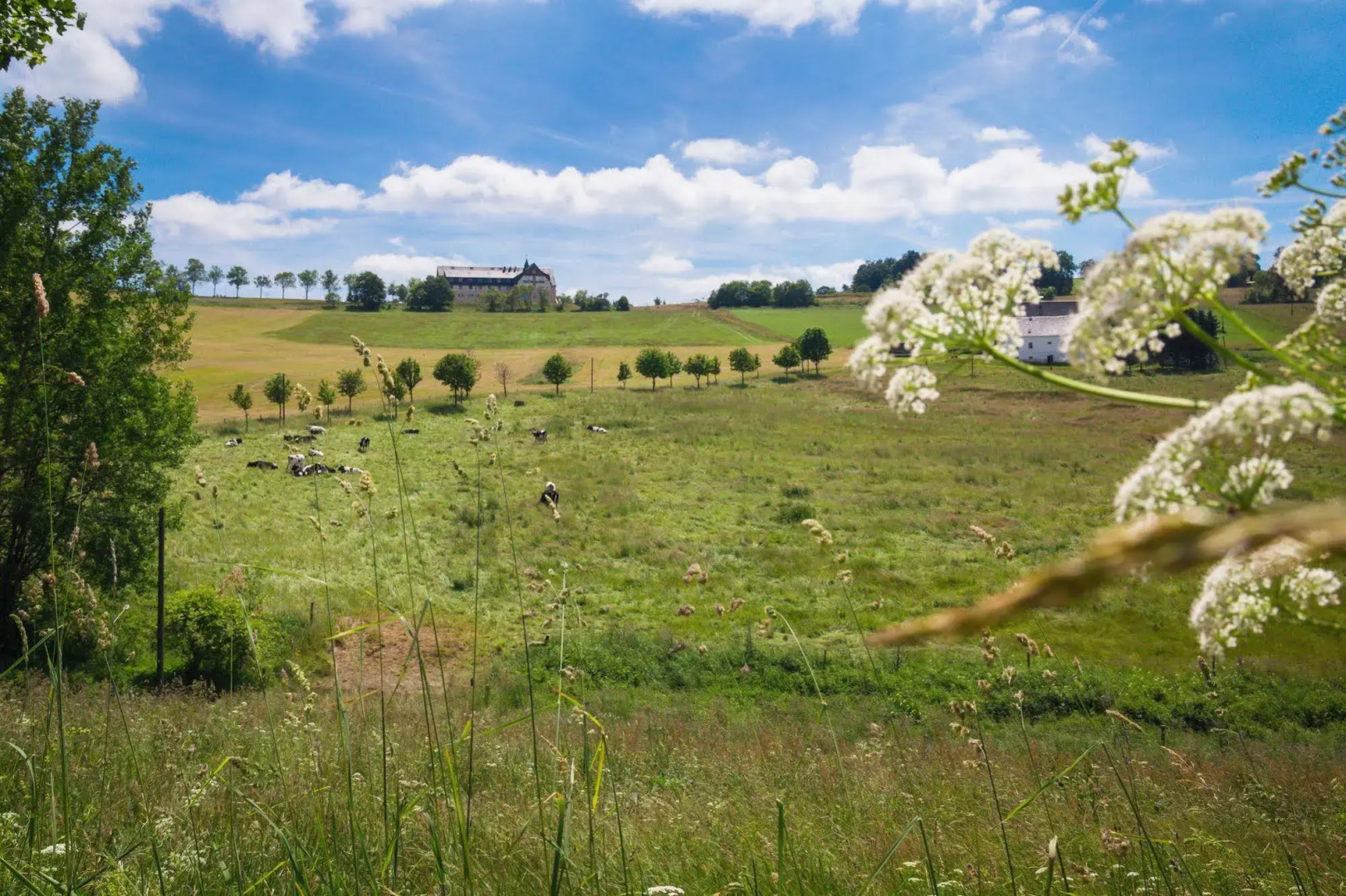 Panorama Berghotel Wettiner Höhe
