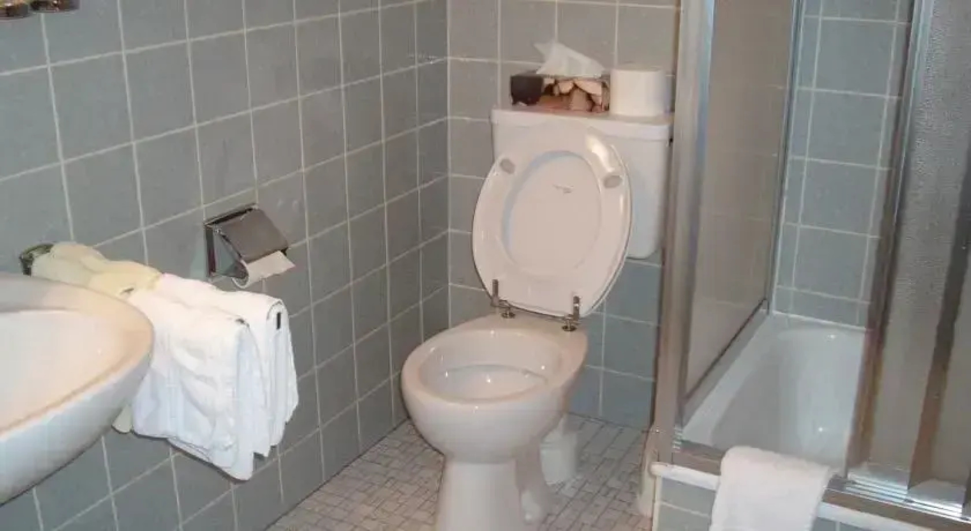 Schwarzwaldgasthof Grüner Baum