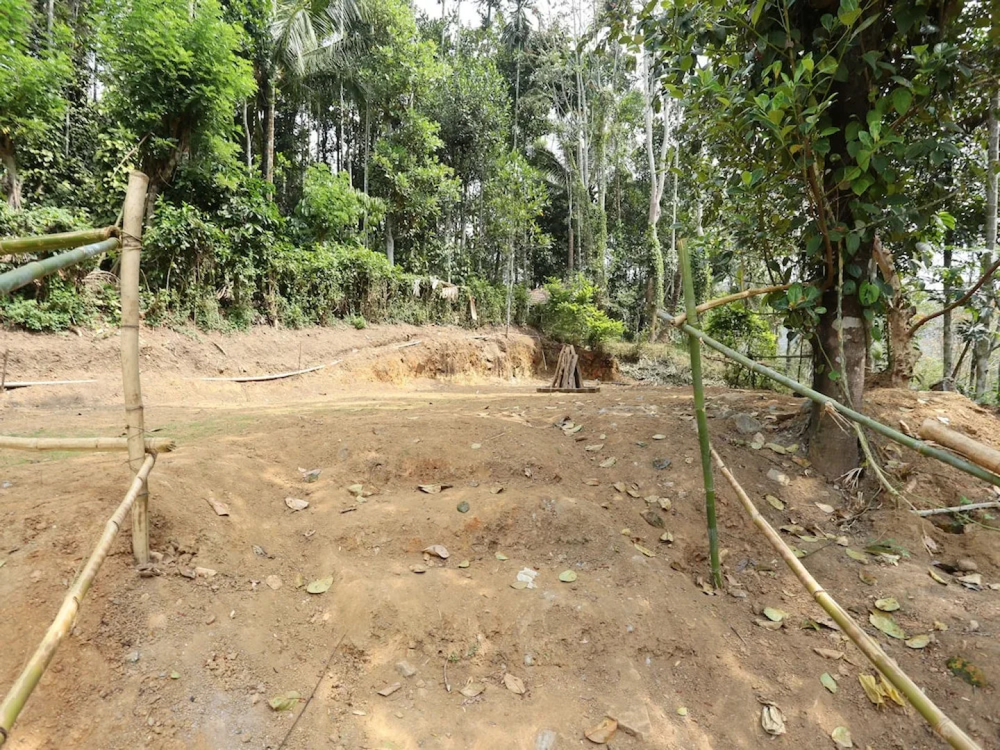 OYO 10421 La Flora Resorts