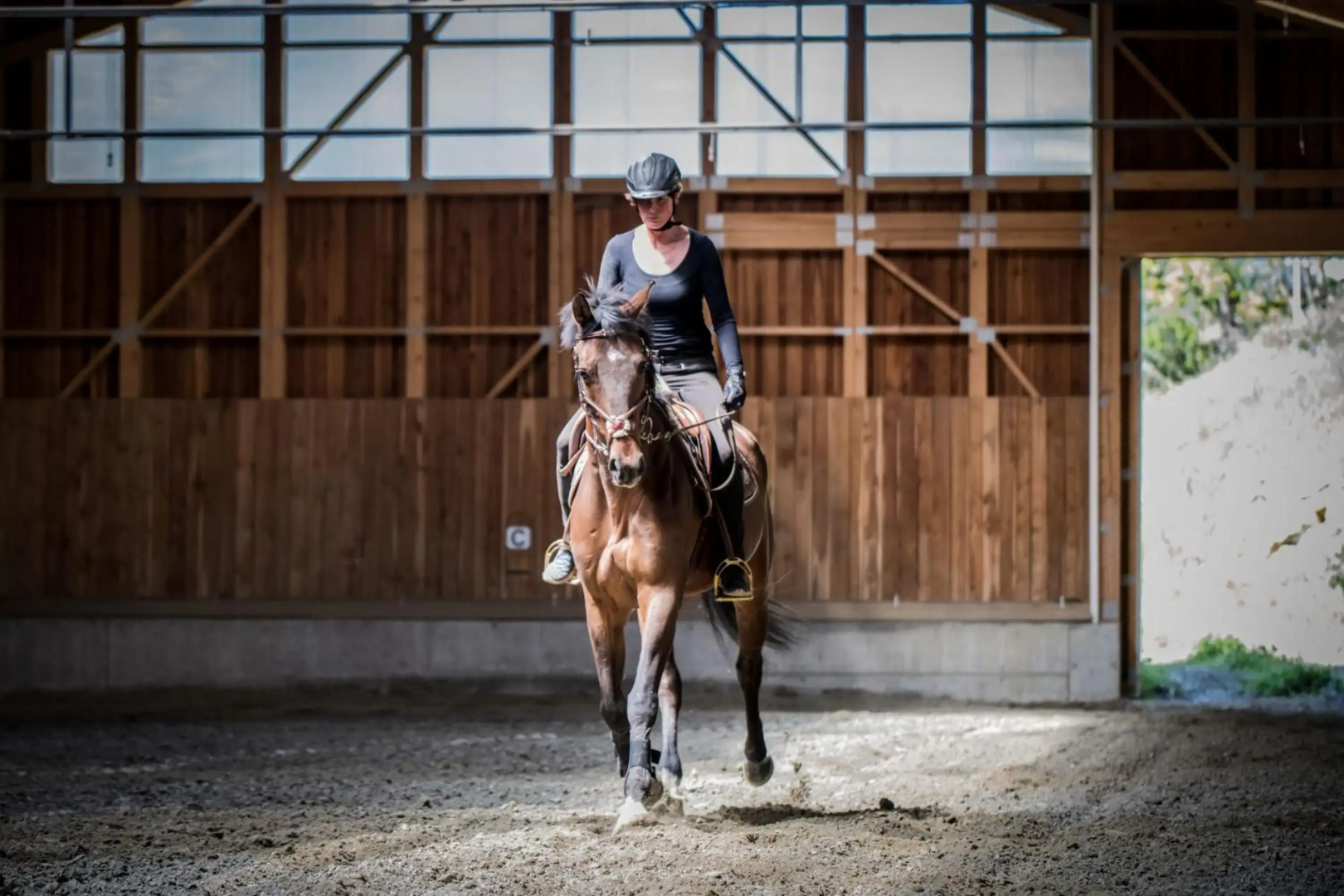 Chalet Appartement Zingerlehof Trens