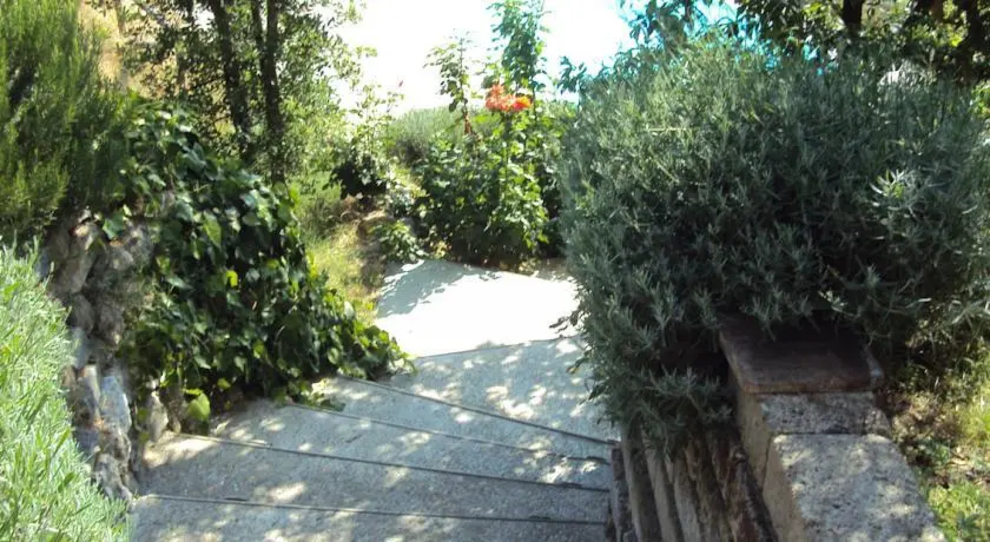 Casa Vacanze Gialdini