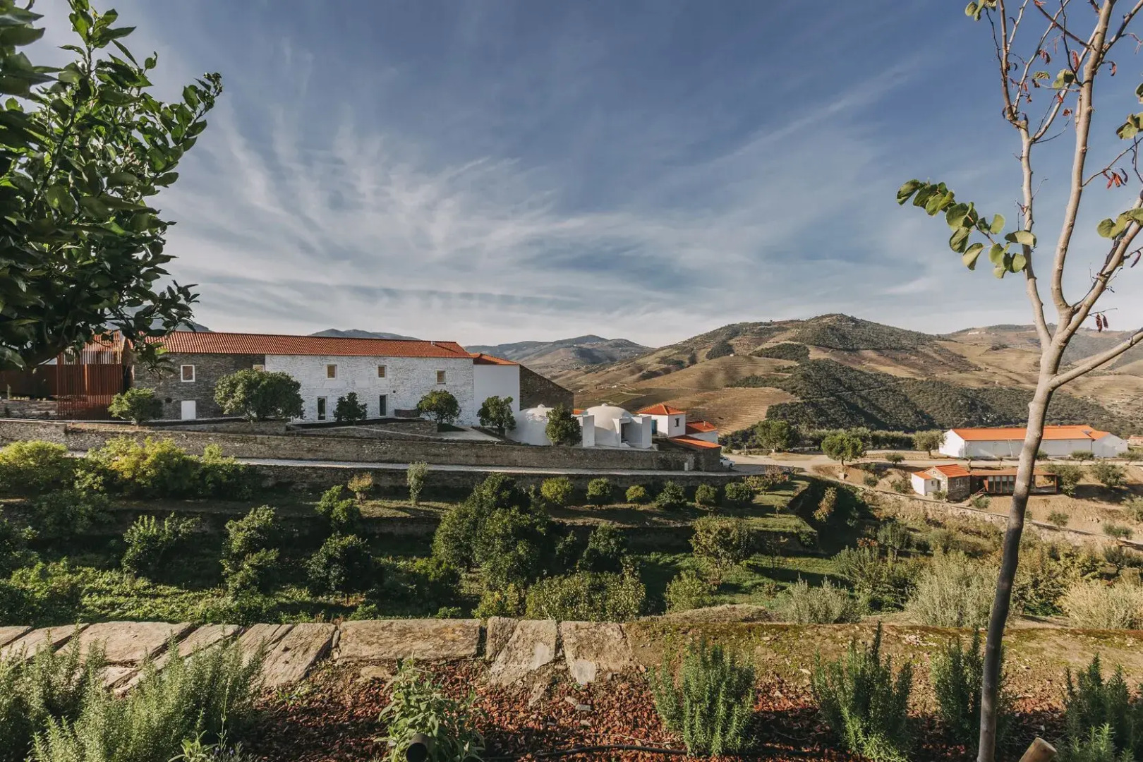 Ventozelo Hotel & Quinta