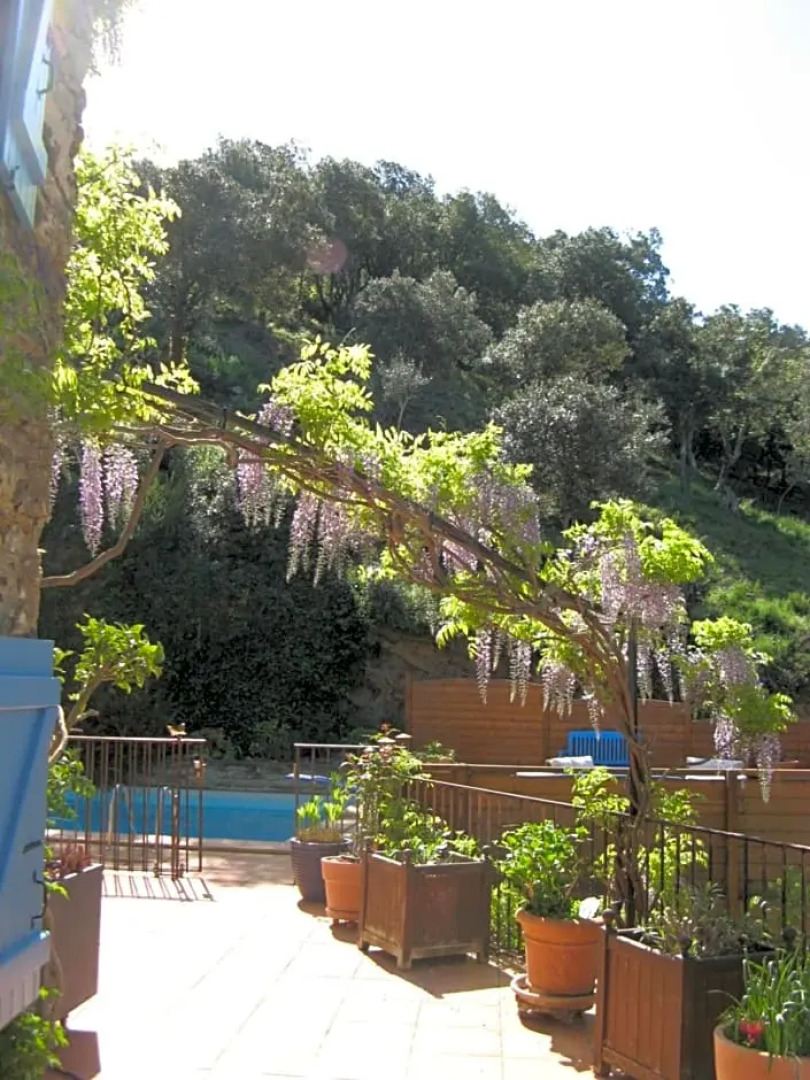 L'Oliveraie des 3 Mas