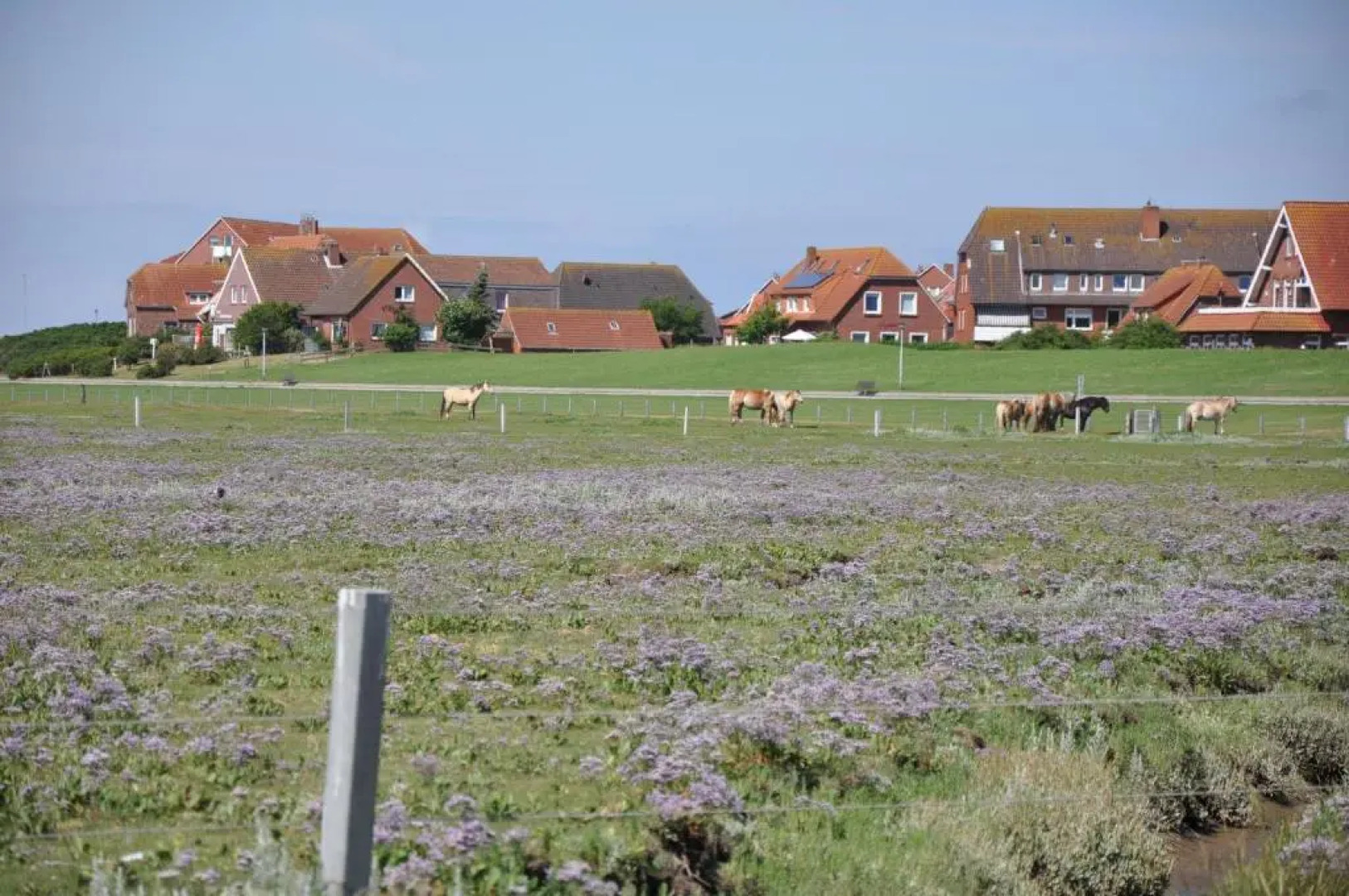 Seevilla Wietjes Whg 6