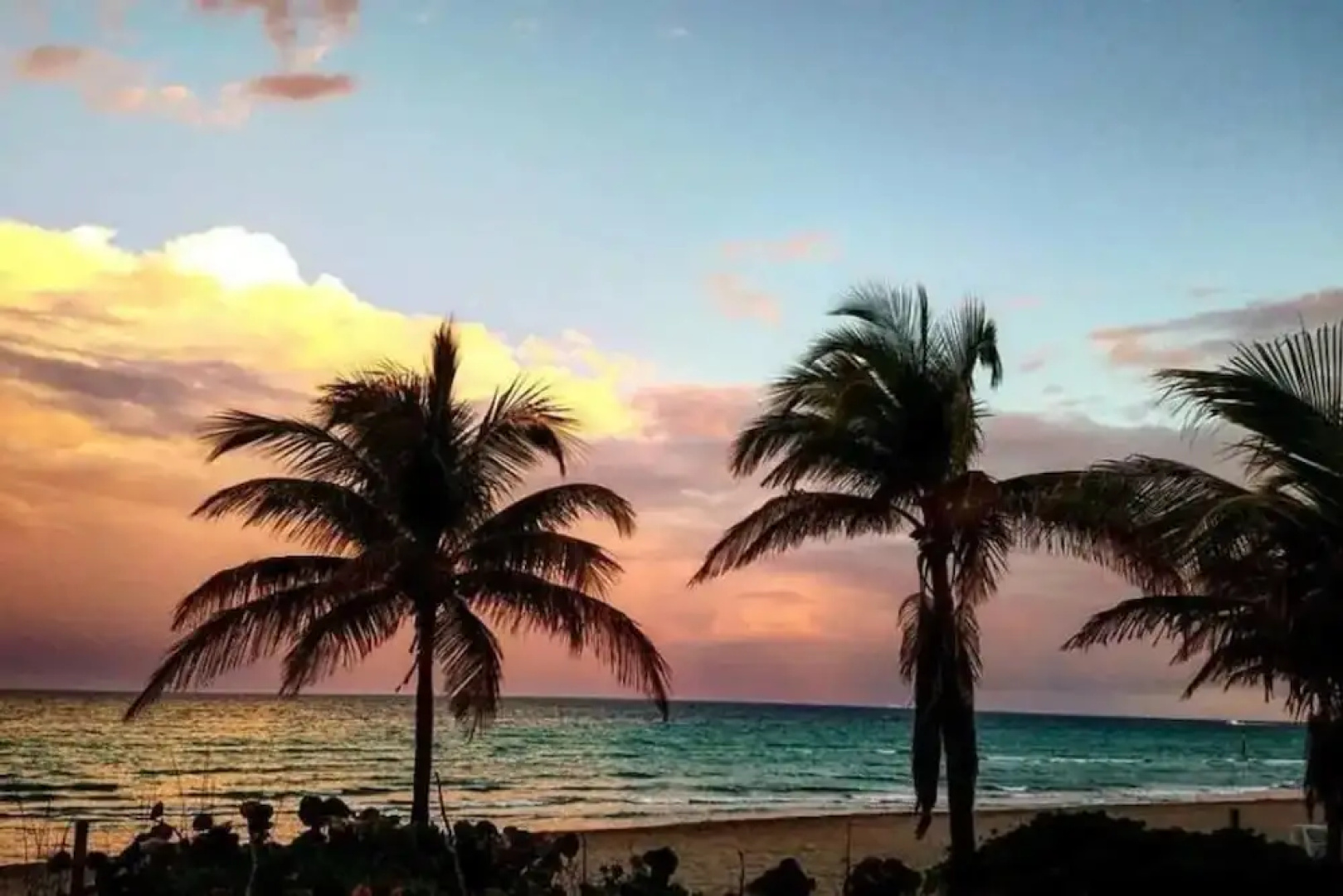 Gorgeous 1br apartment, a walk from the Beach