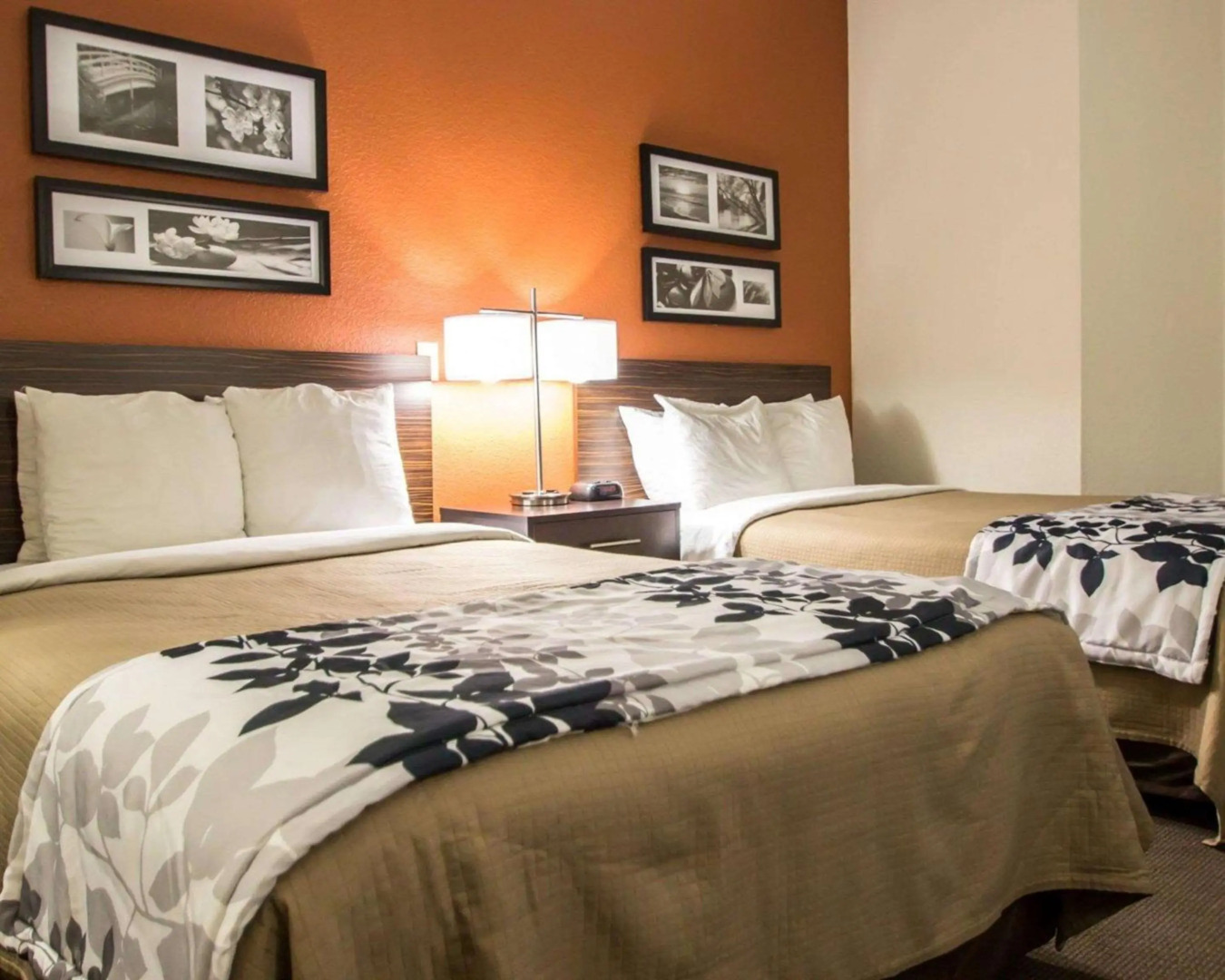 Sleep Inn Ormond Beach - Daytona