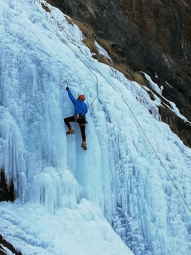 Gite - Auberge Le Chamois