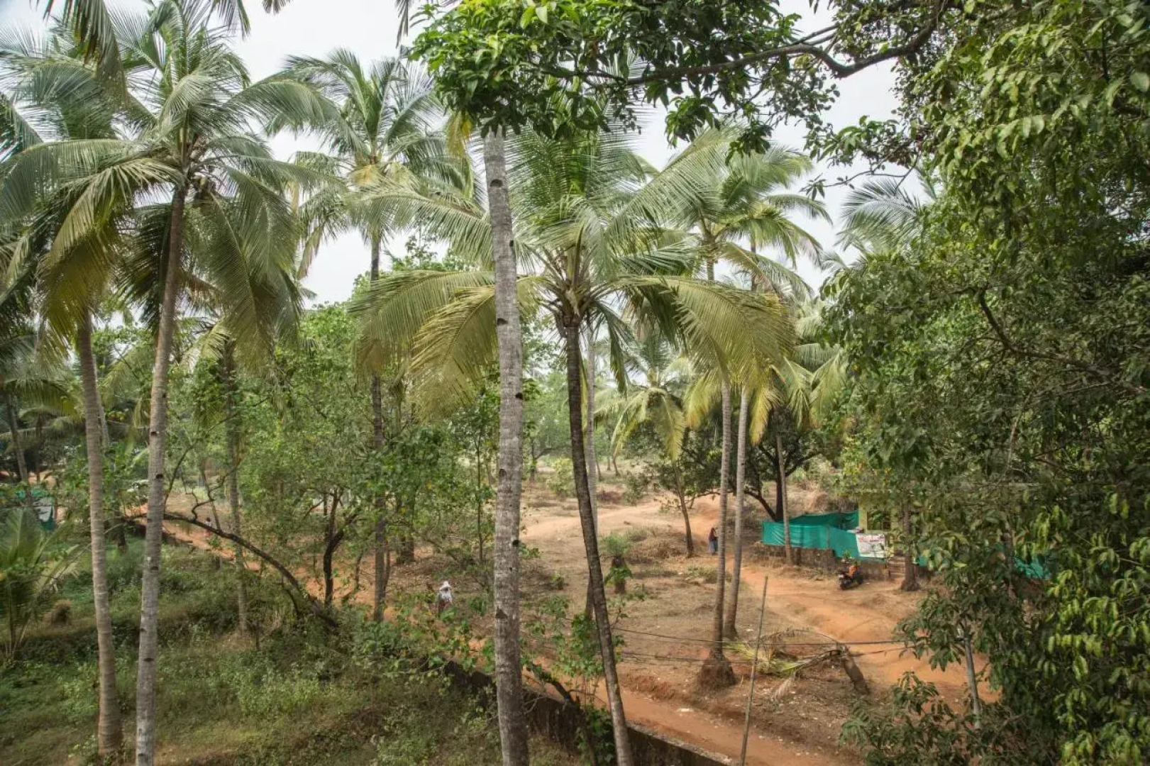 Hotel Arambol Arbour