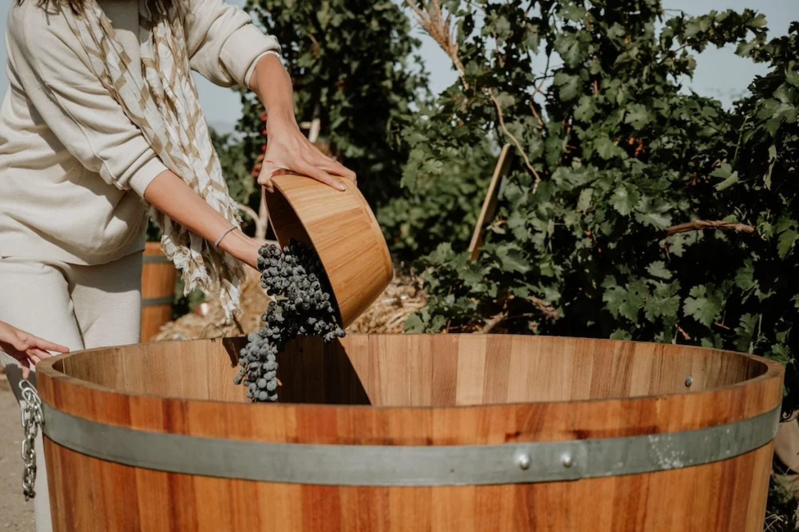 Maison & Chateau Copsa