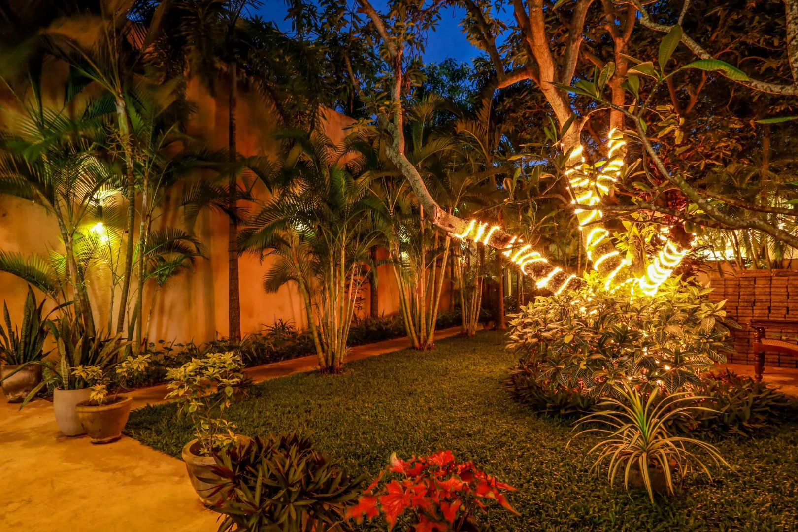 Mango House