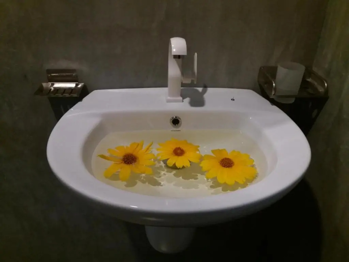 Cashew Villa Hiriketiya