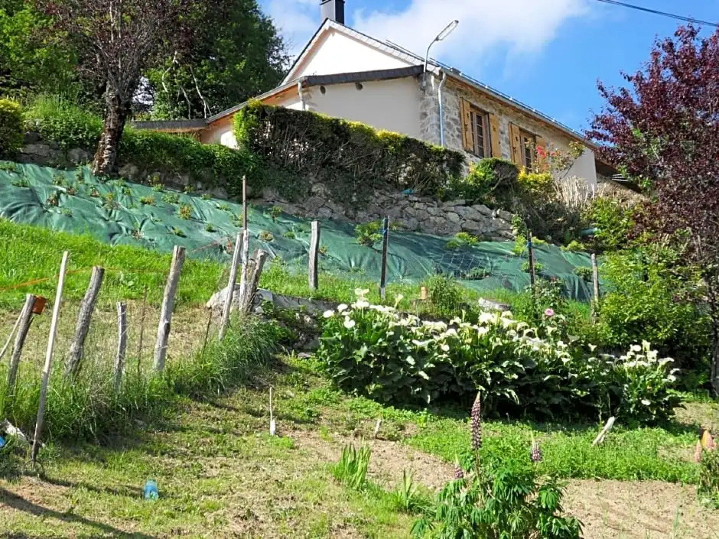 chambres et table d'hôtes du Péré