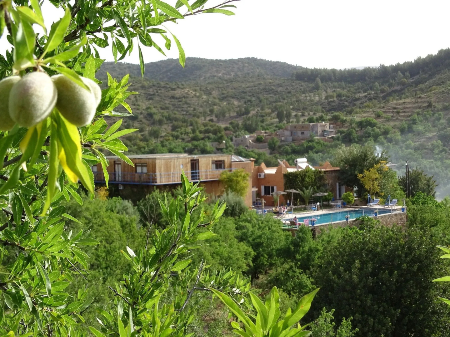 Riad de l'Olivier - In the mountains