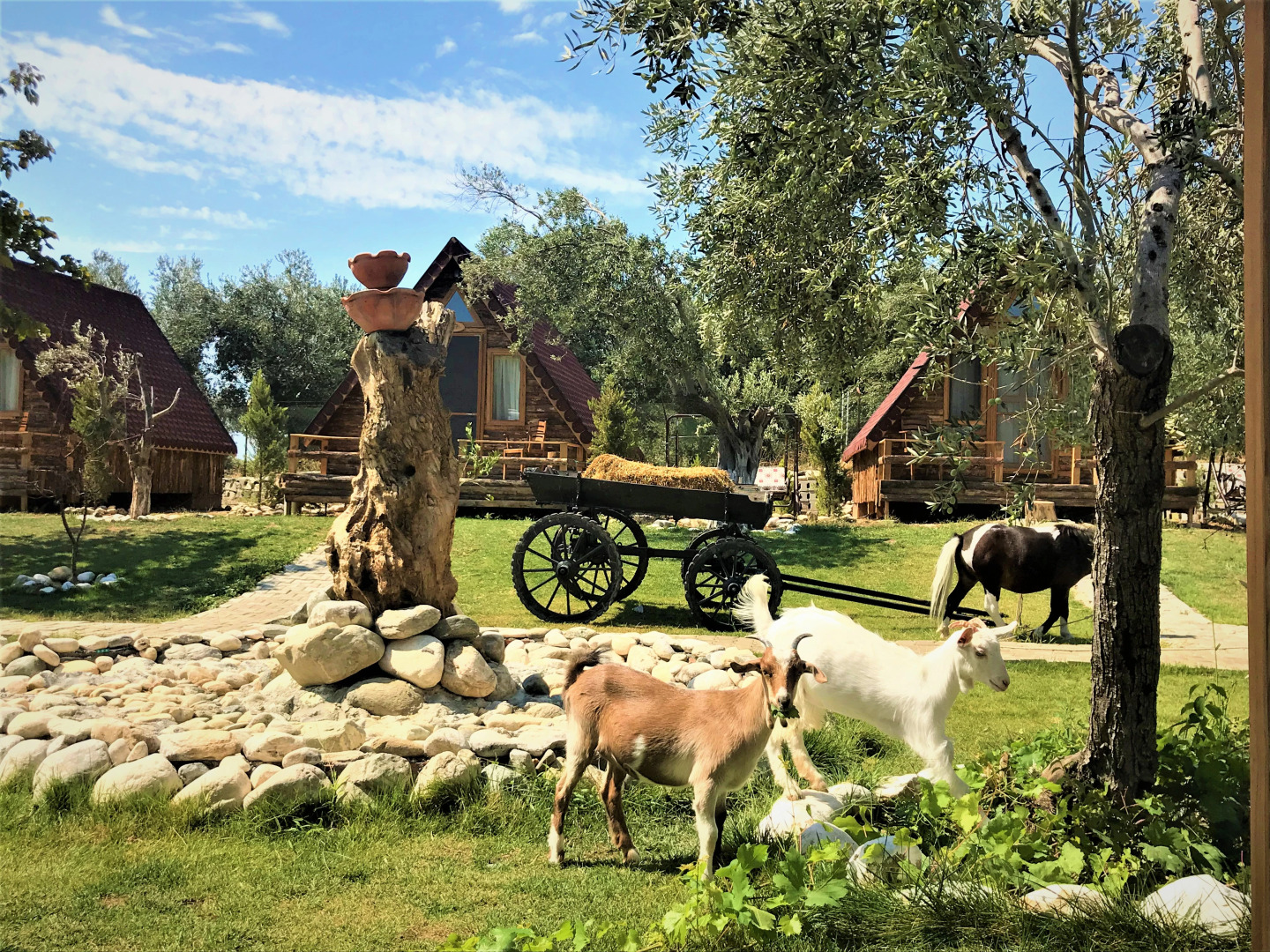 Ida Natura Life Style Otel Kazdaglari