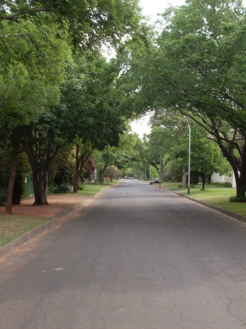 BB at Bloem