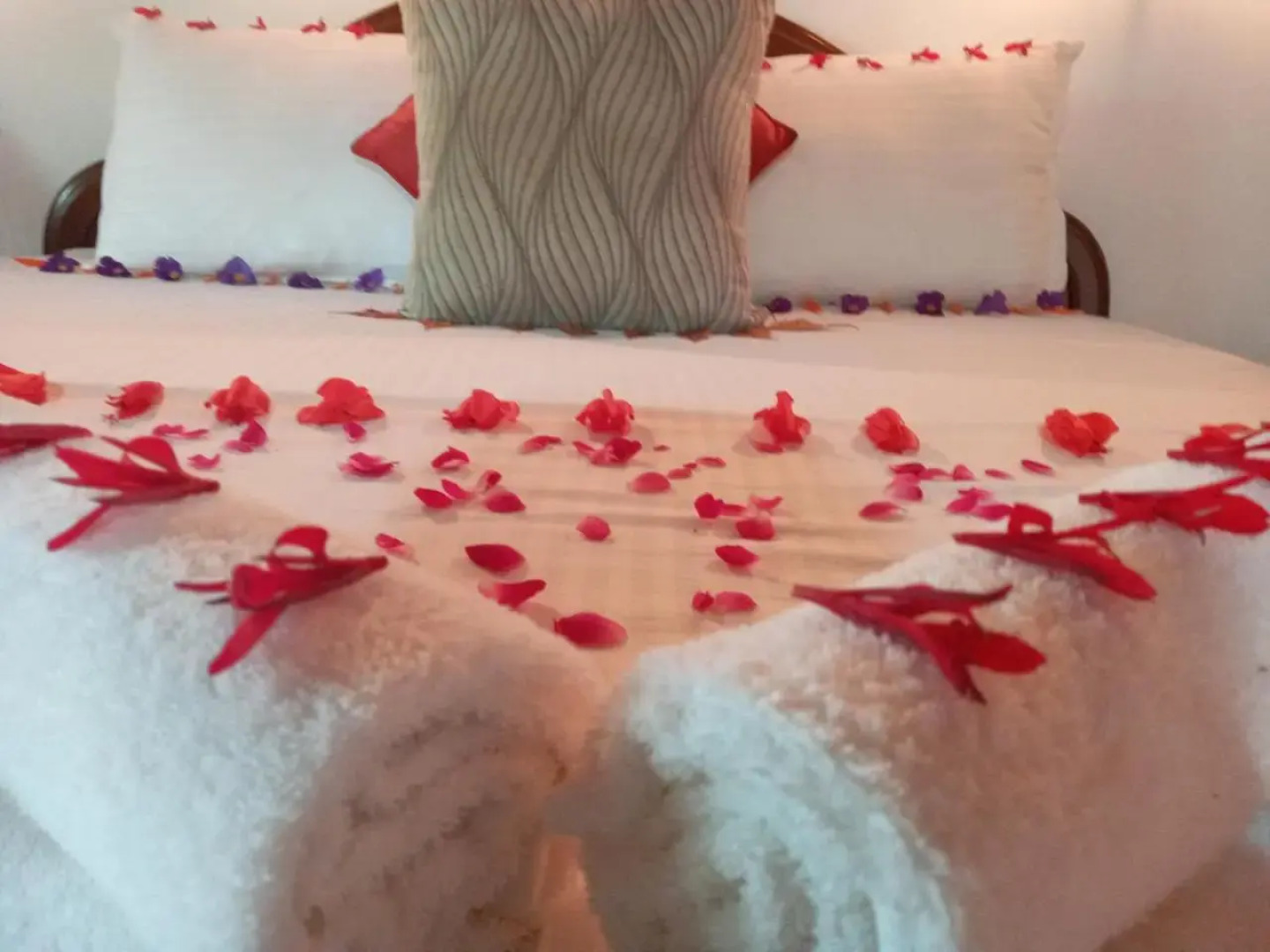 Hotel Spring View (Pvt) Ltd