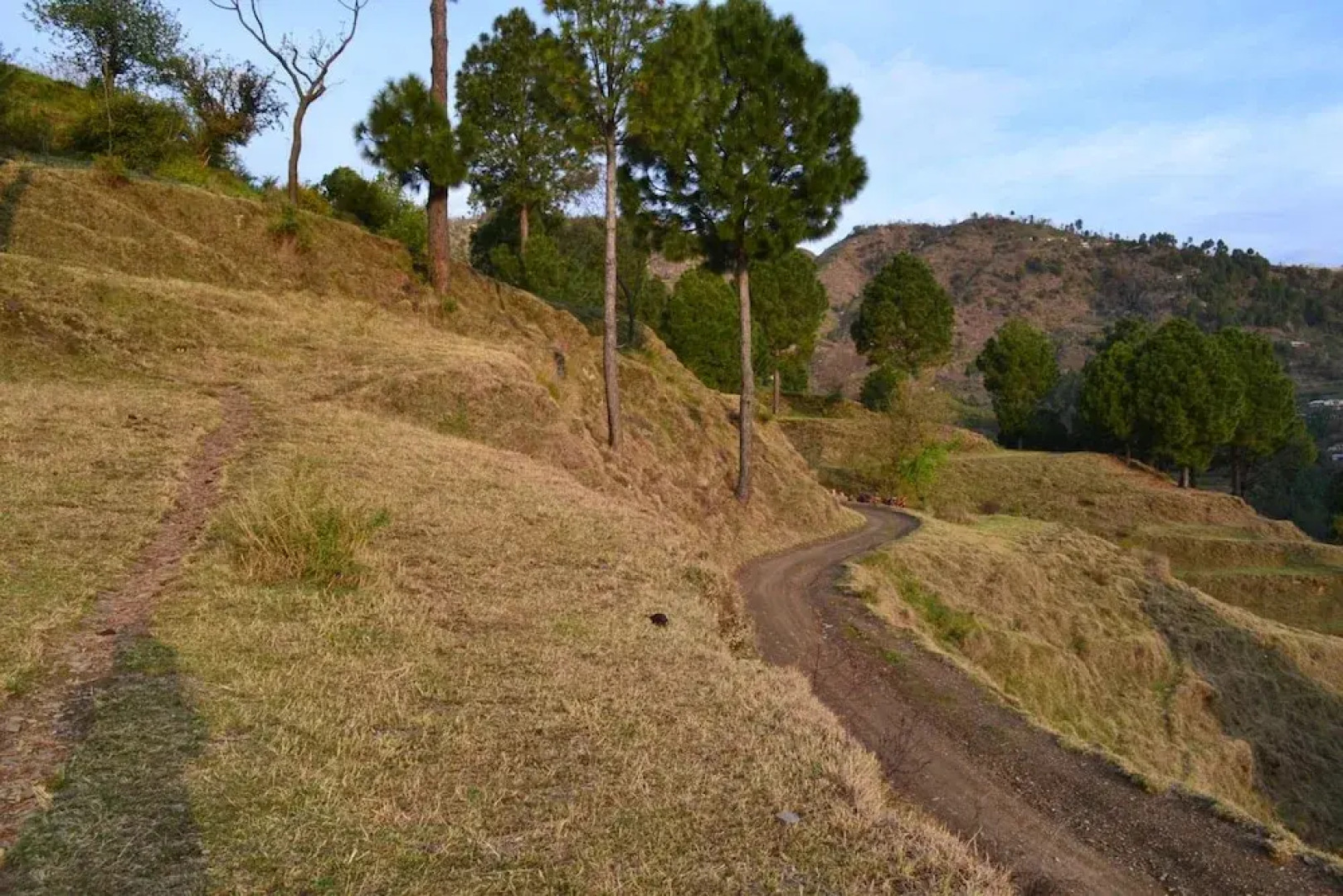 West End Guest House