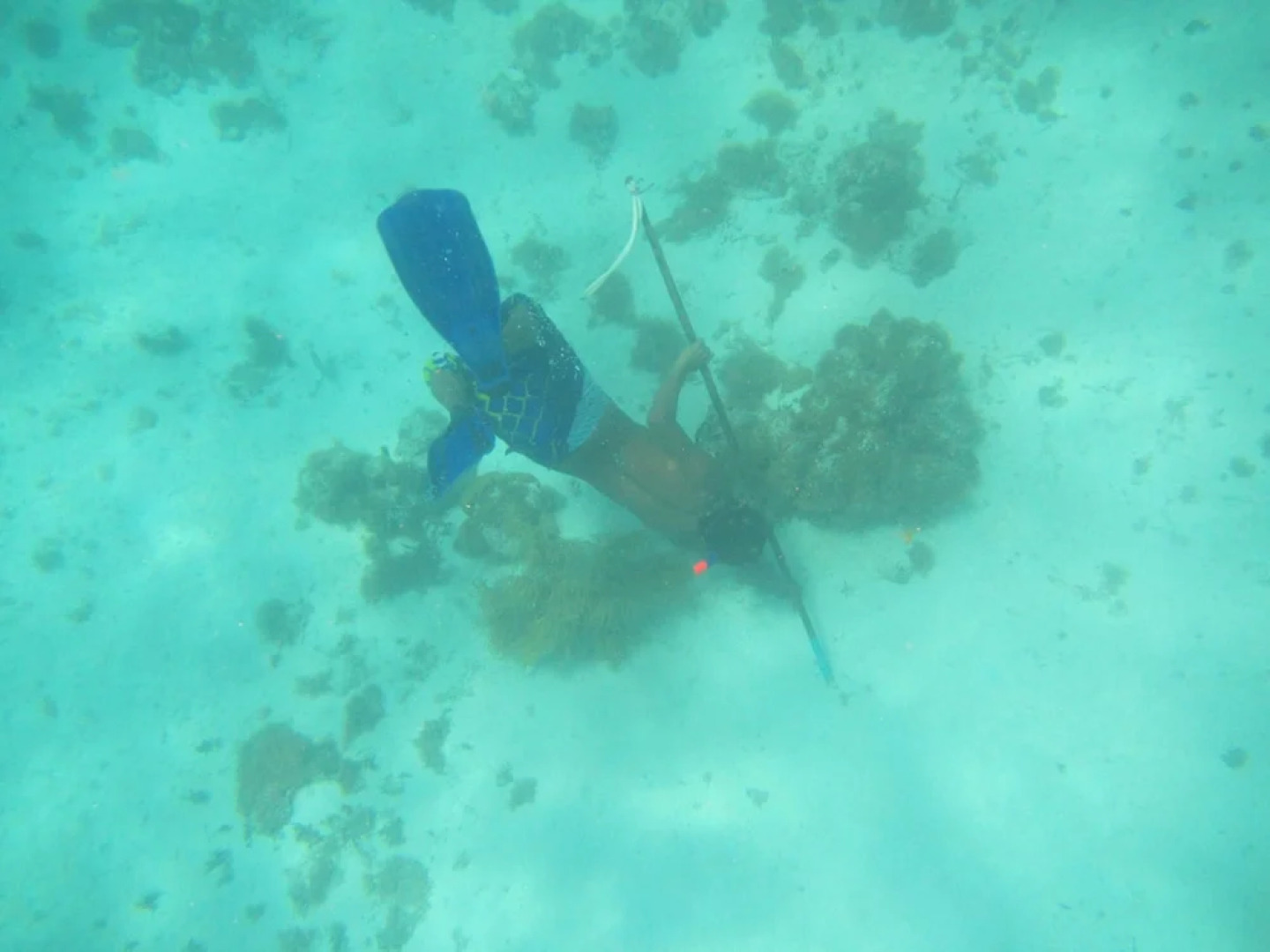 Cabanas Narasgandub - Naranjo Chico