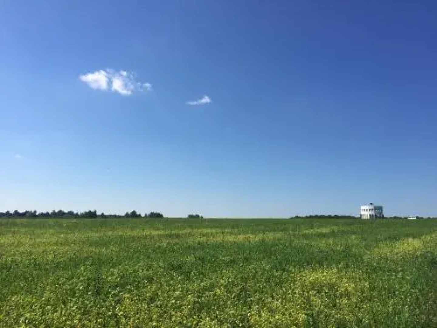 Farm-Camping Nikola-Lenivets