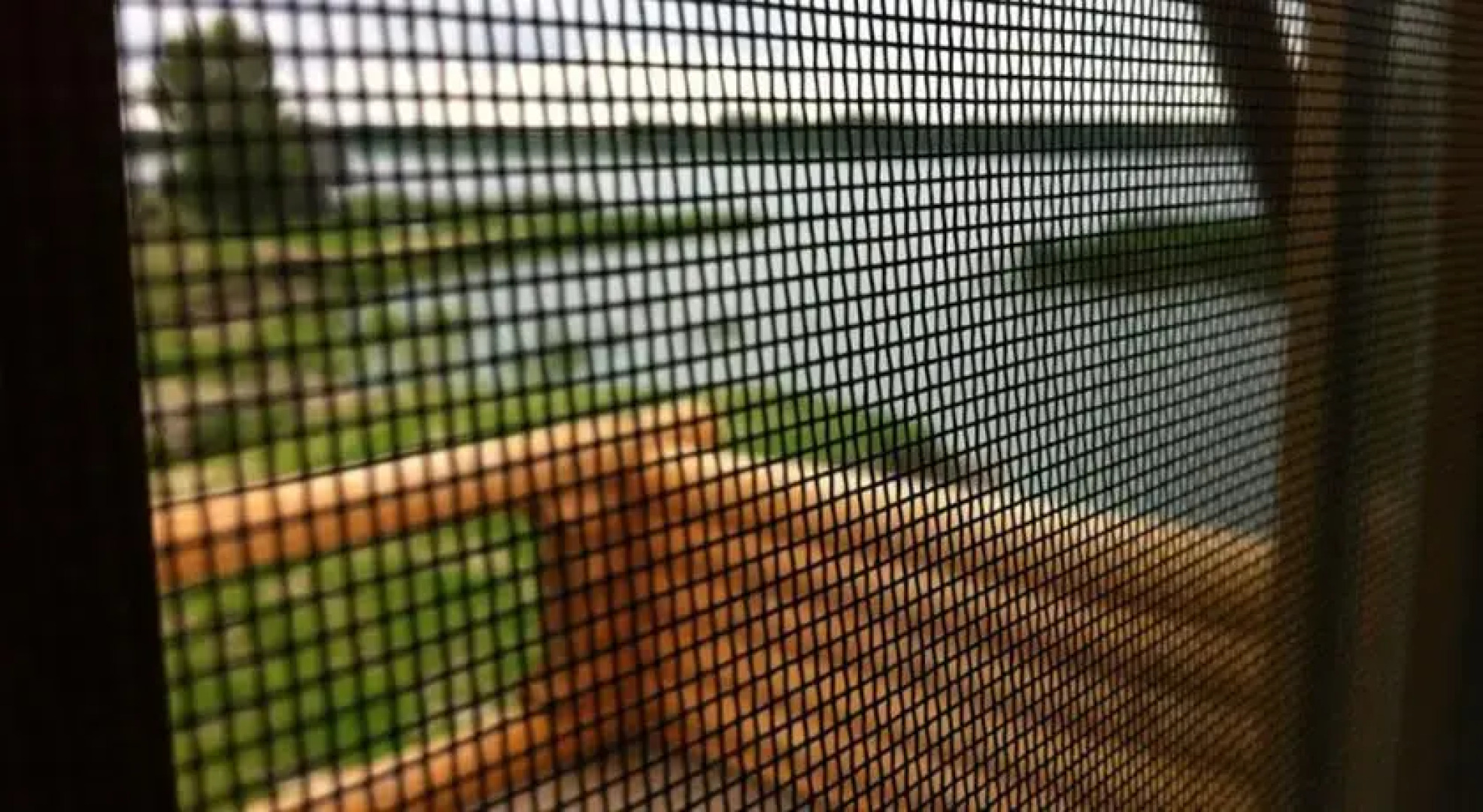 Rõsna Holiday House