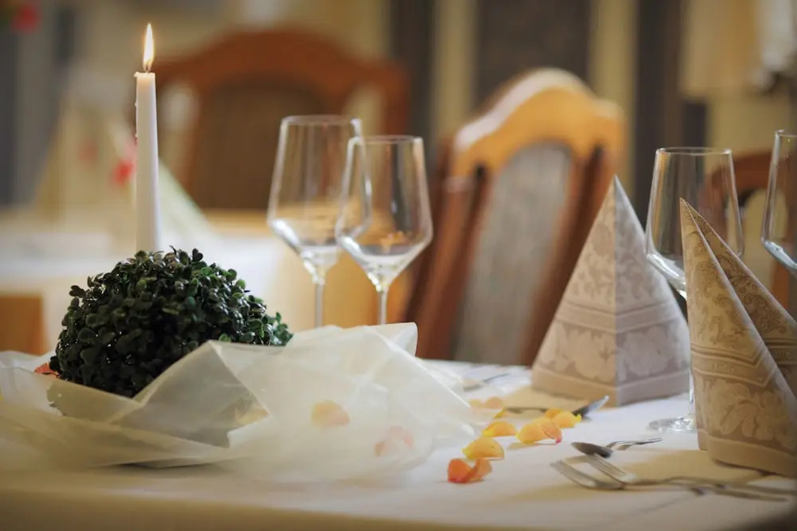 Pension Gasthof und Hotel Roter Hirsch