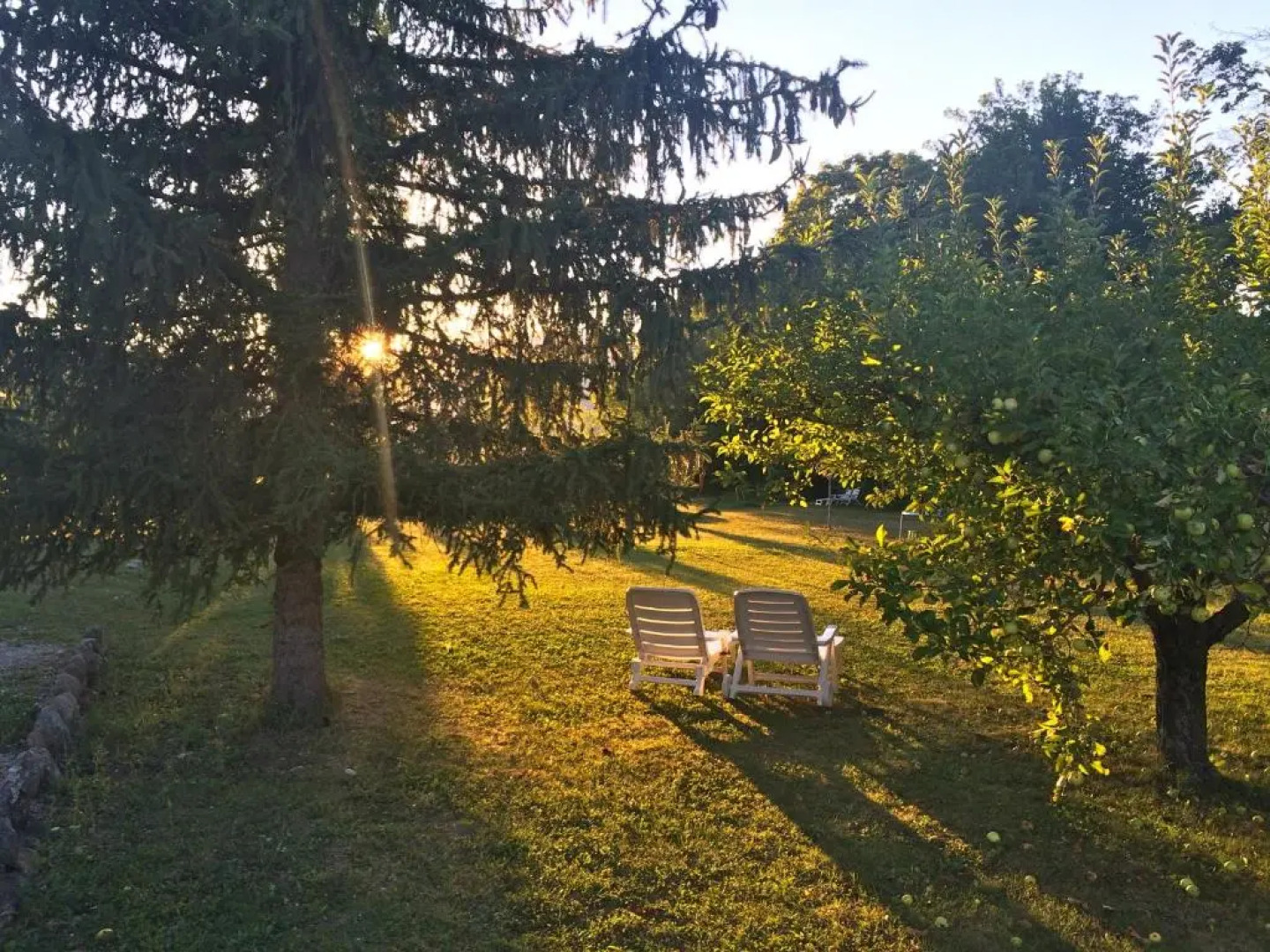 Le Mas De Saint-Ferréol Studio