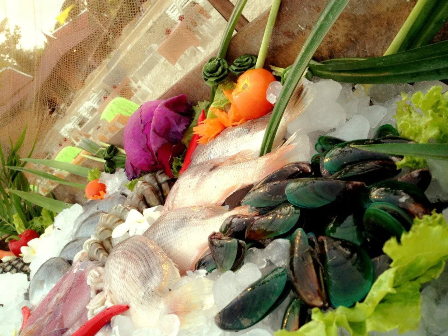 Seascape Beach Resort