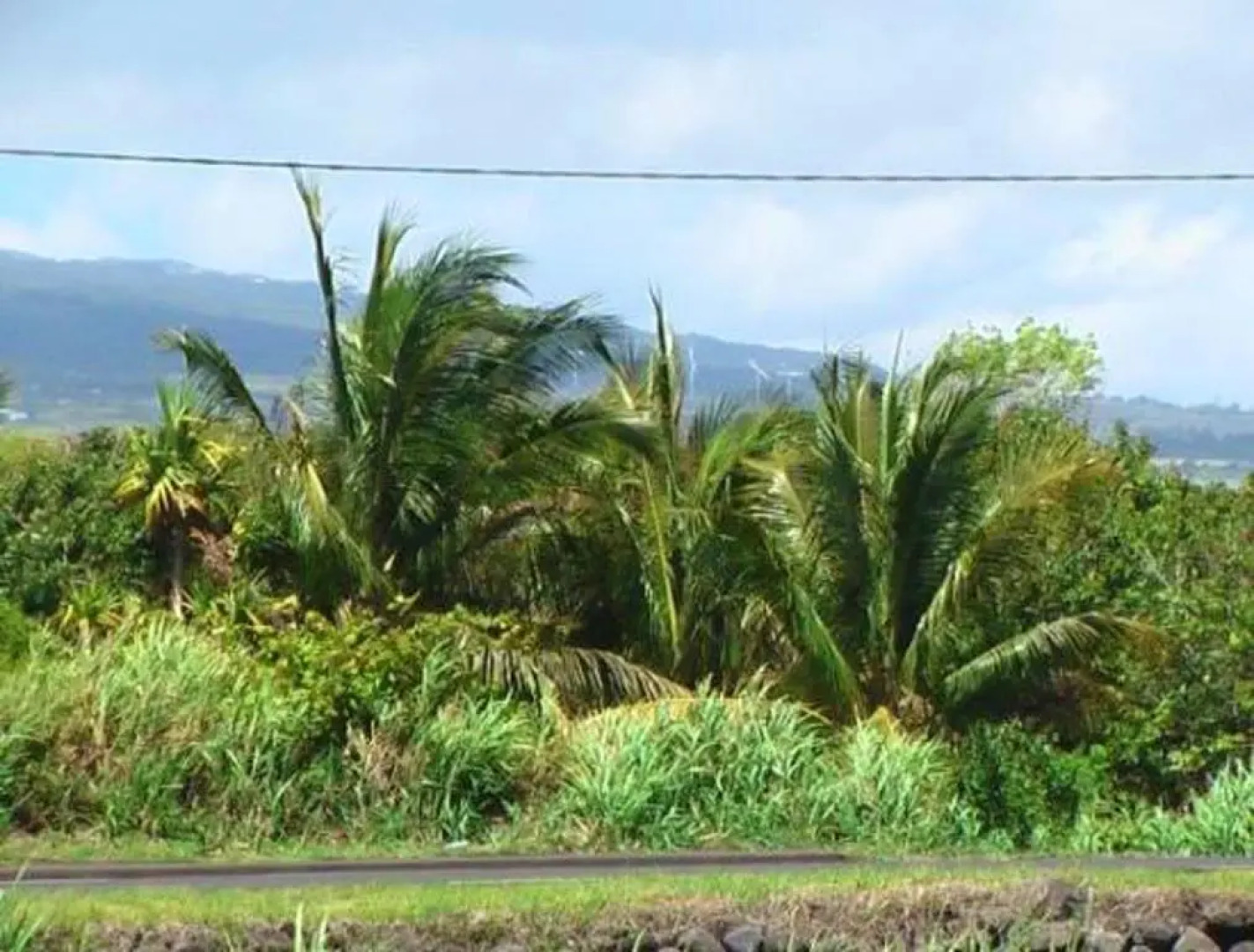 Studio in Saint Andre, With Wonderful sea View, Enclosed Garden and Wi