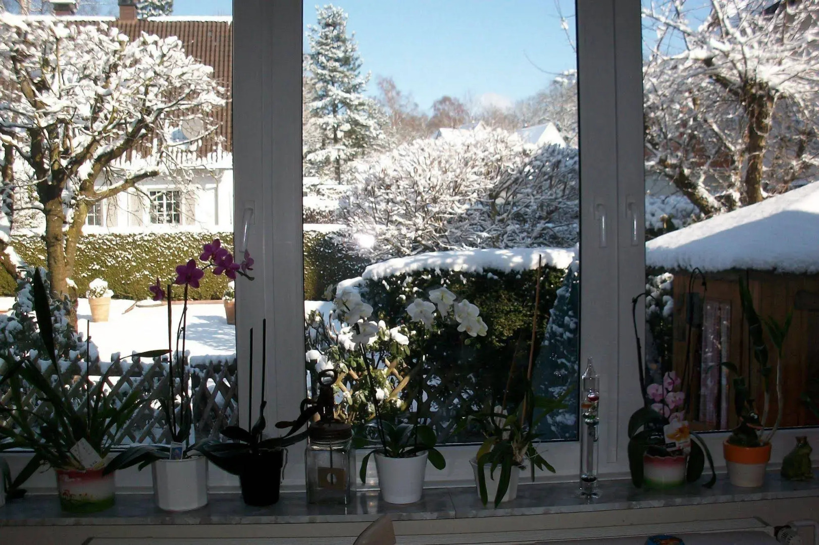 Kurvilla Fürstin Pauline