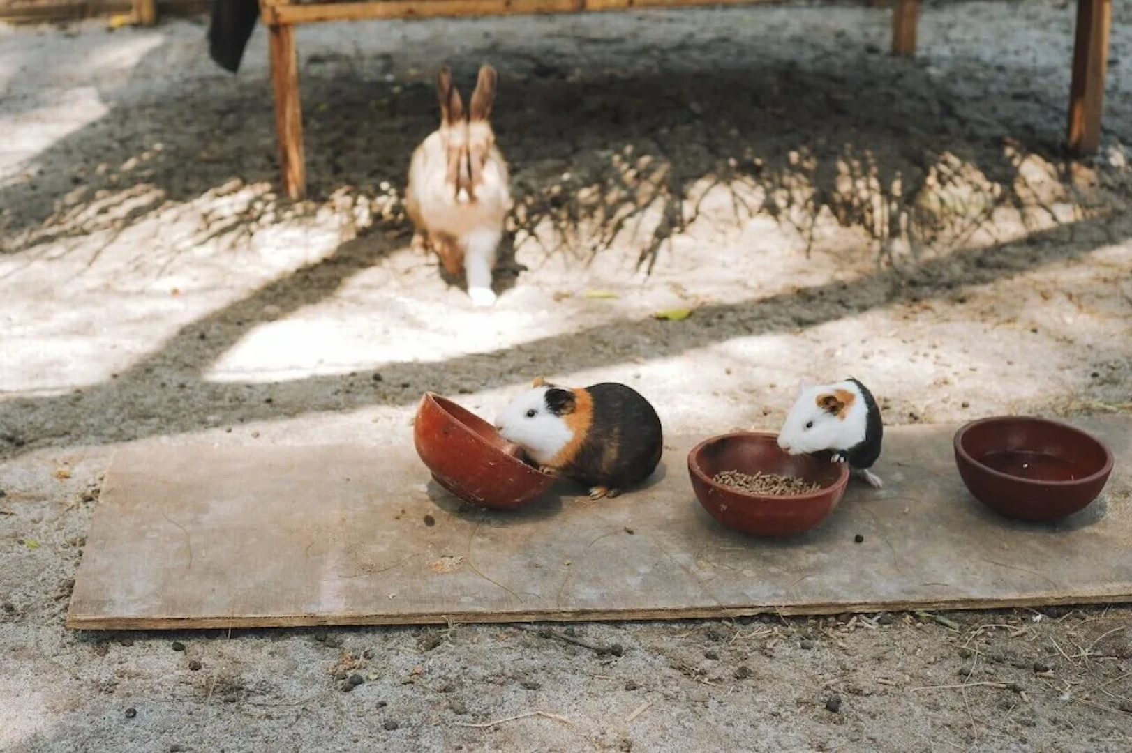 Kirana Retreat