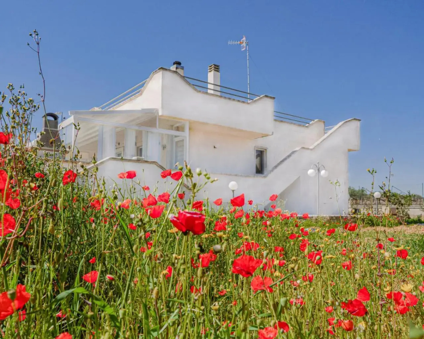 Rosmat's house