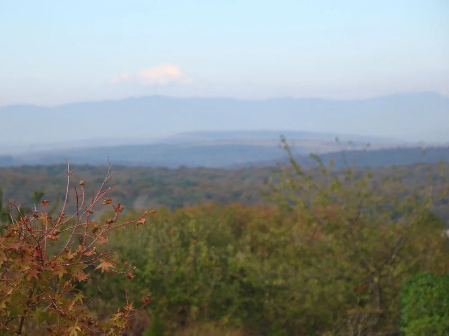 Entre Vosges et Jura