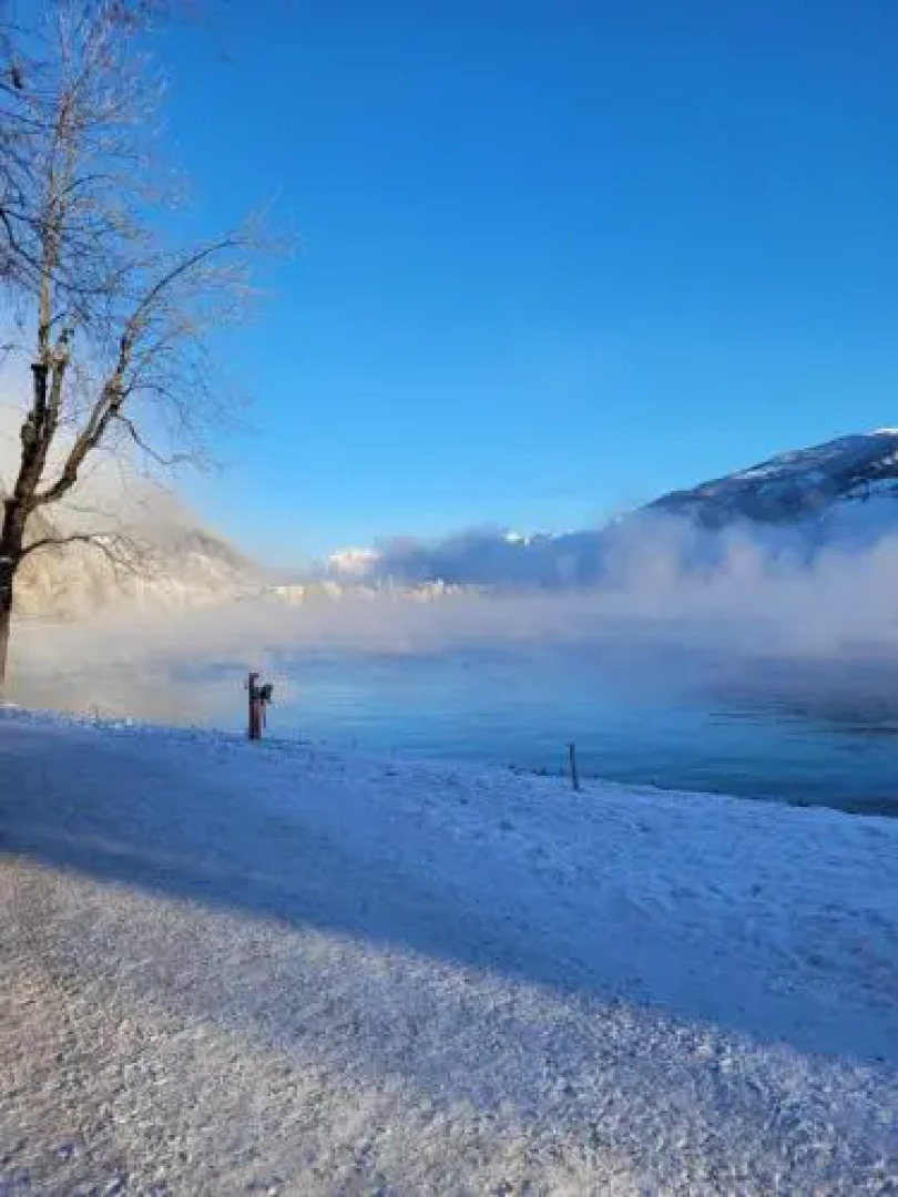Panorama Apartments Steinbock Lodges