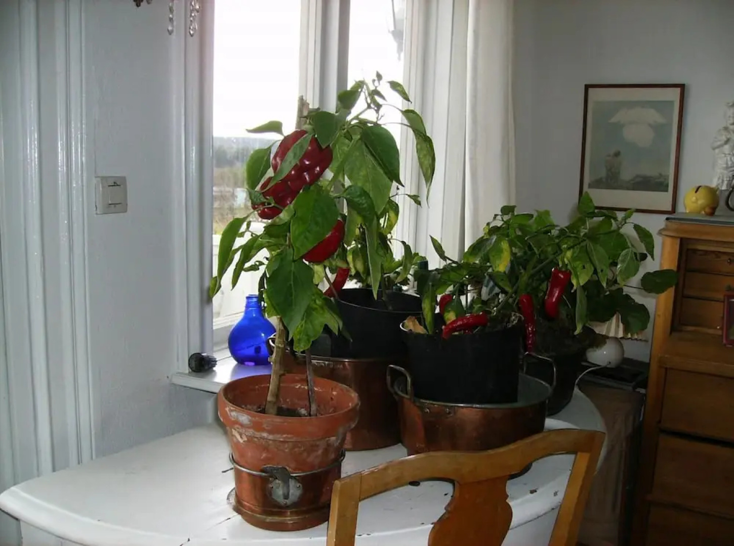 Täljegården Lantgårdshotell