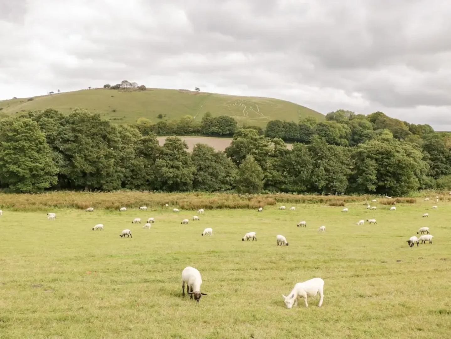 Riverside 67 Dorchester Road