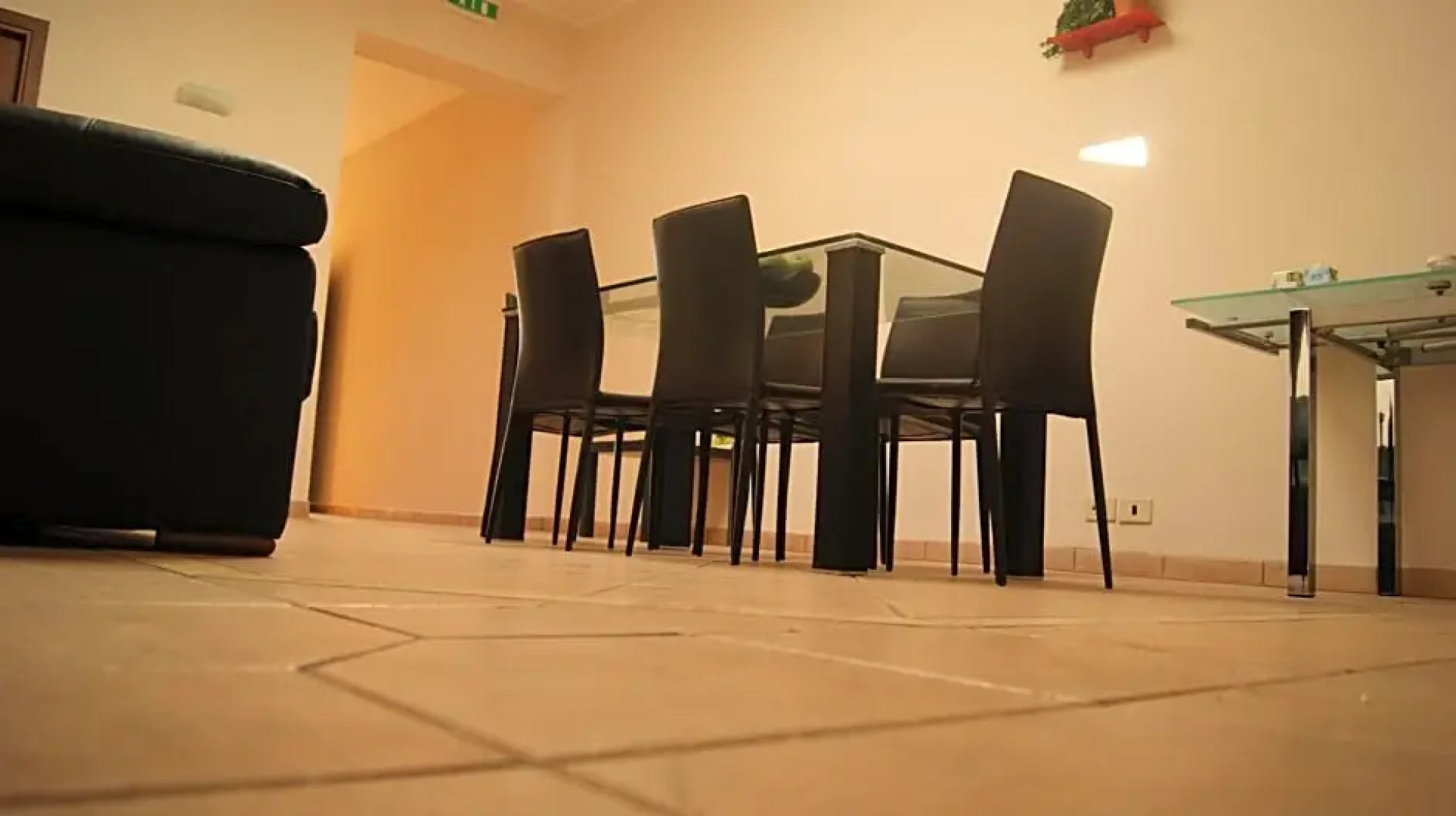 B&B Vegan Inn Airport