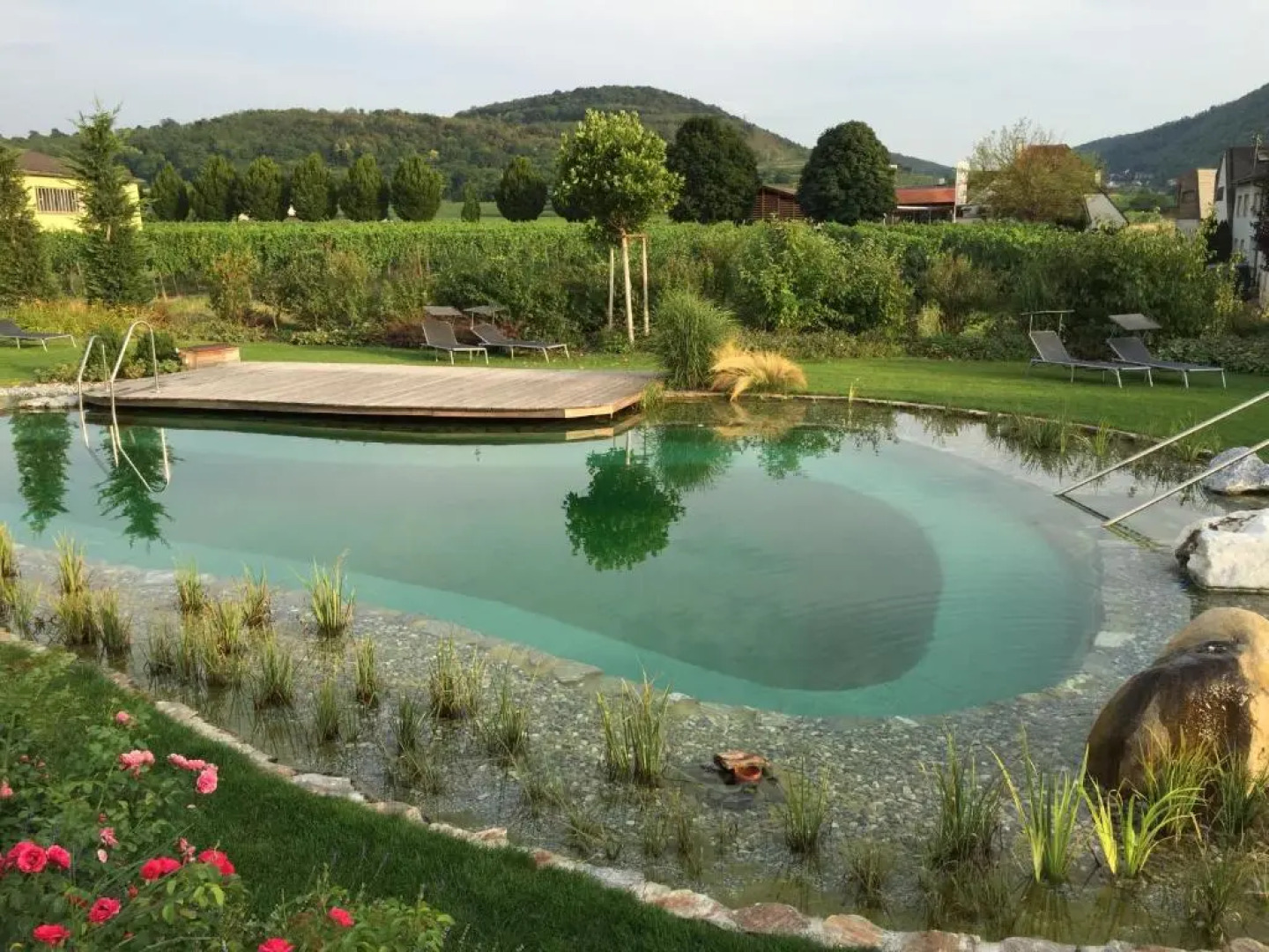 Serviced Apartement Sonnleitner