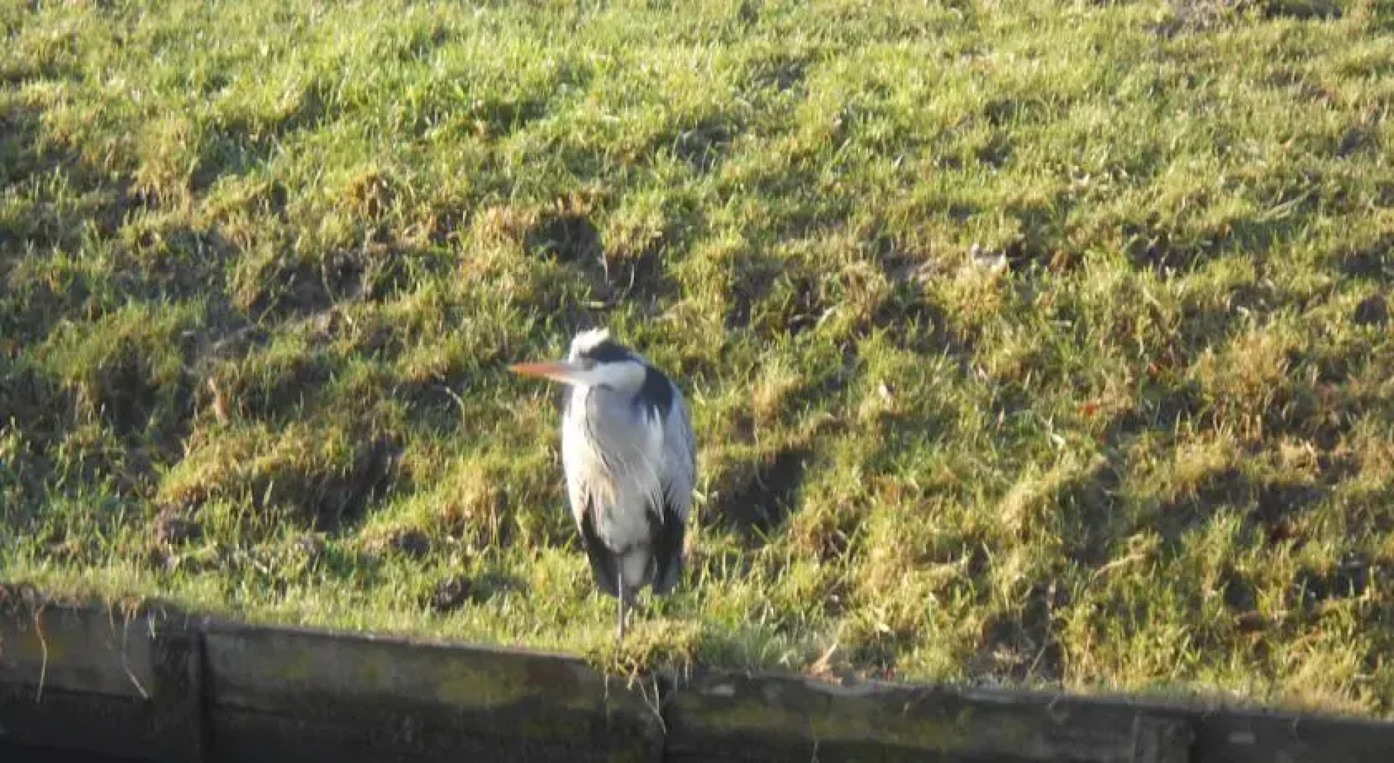 Cozy Small Villa Amstelveen