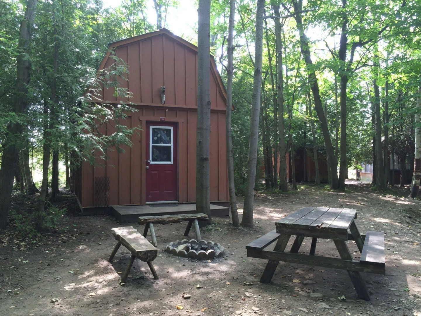 Little Cove Adventures