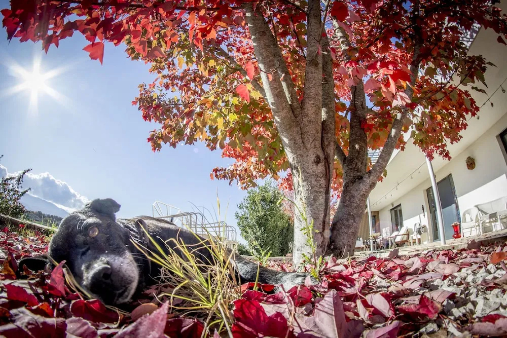Agriturismo Bio Relais Terra del Vento