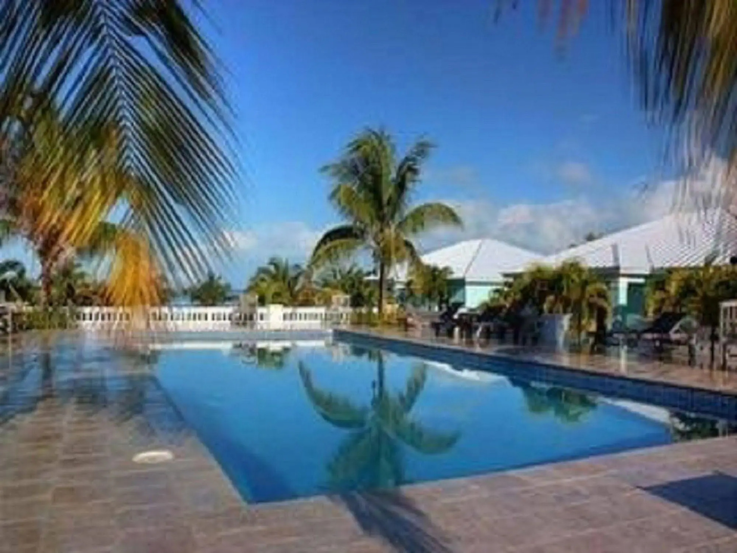 Butterfly Haven by Living Easy Abaco